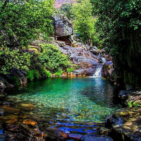 Апартаменти Quinta Da Ribeirinha Арока Екстер'єр фото