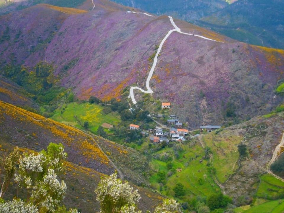 Апартаменти Quinta Da Ribeirinha Арока Екстер'єр фото